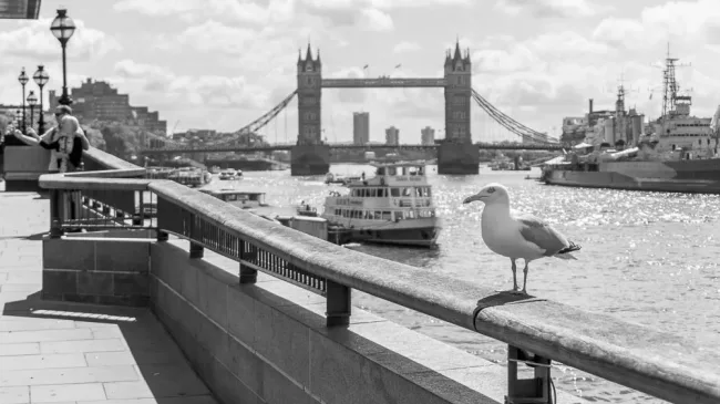 London Summer - Sebastian Schollmeyer