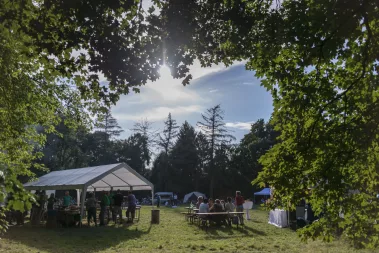 Jazz im Park - Sebastian Schollmeyer