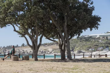 Kapstadt - Sebastian Schollmeyer