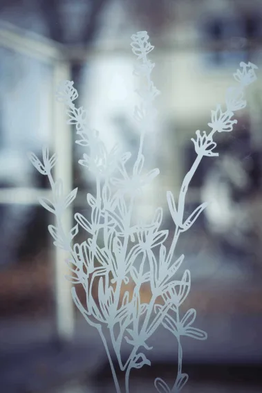 Isaak’s Garden - Sebastian Schollmeyer