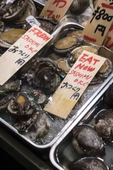 big in japan - Sebastian Schollmeyer