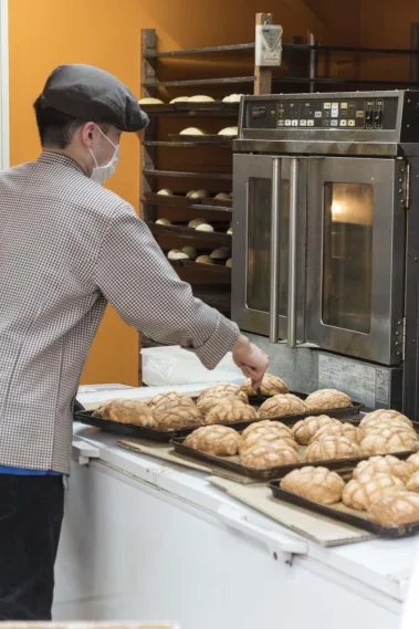 big in japan - Sebastian Schollmeyer