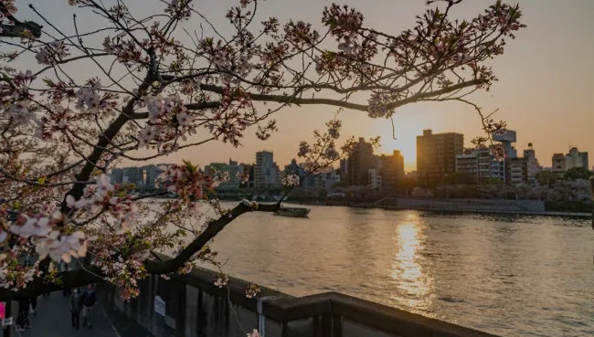 big in japan - Sebastian Schollmeyer