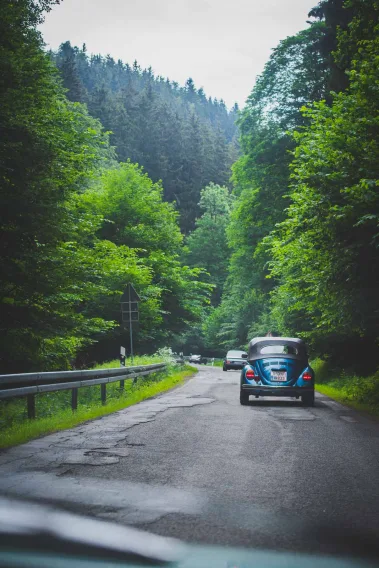 jurassicharz18 - Sebastian Schollmeyer