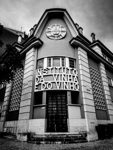 Ola Lisboa - Sebastian Schollmeyer