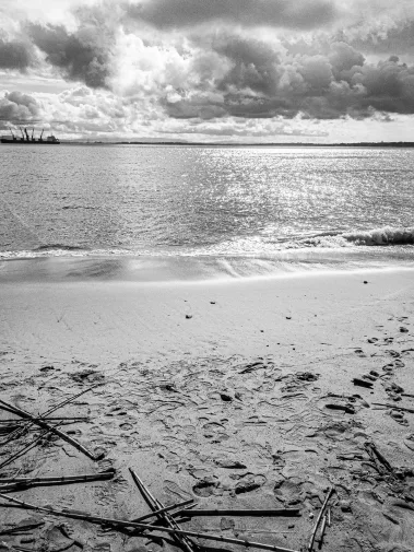 Ola Lisboa - Sebastian Schollmeyer