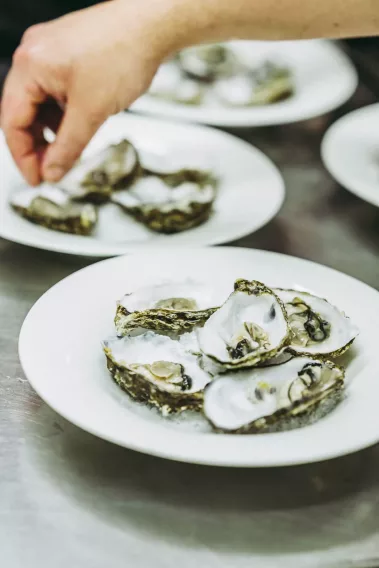 10 Jahre Zucker - Sebastian Schollmeyer