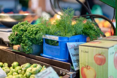 Florian Fuhrmann - Sebastian Schollmeyer