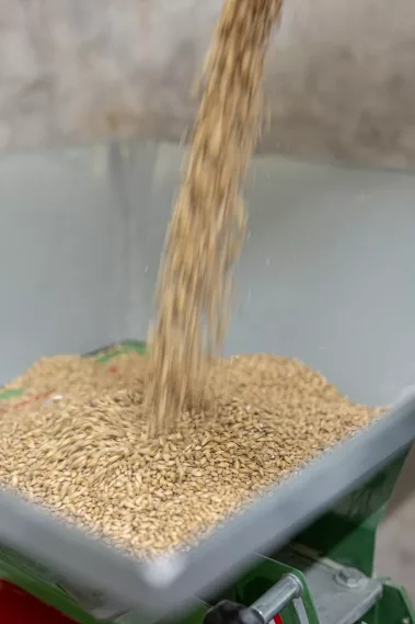 National Jürgens Brauerei - Sebastian Schollmeyer