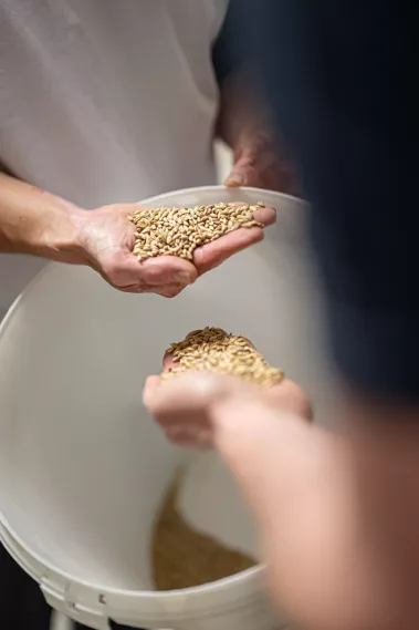 National Jürgens Brauerei - Sebastian Schollmeyer