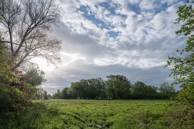 Skotty macht Salsiccia - Sebastian Schollmeyer