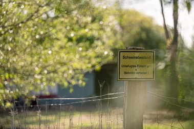 Skotty macht Salsiccia - Sebastian Schollmeyer