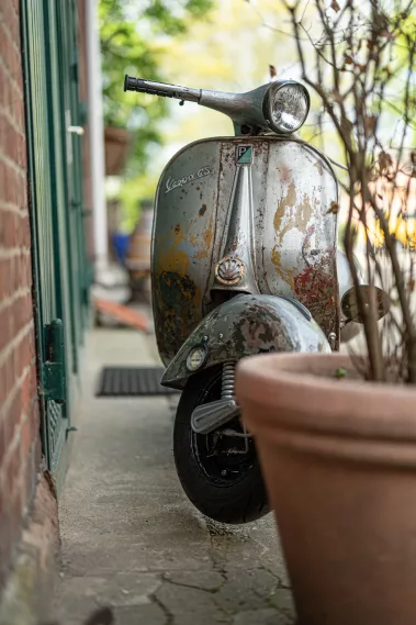 Skotty macht Salsiccia - Sebastian Schollmeyer