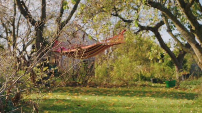 Lazy Sunday - Sebastian Schollmeyer