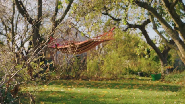 Lazy Sunday - Sebastian Schollmeyer