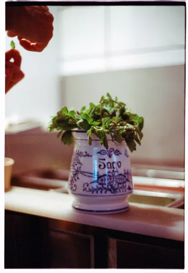 Alex und Casis Knast – Sebastian Schollmeyer