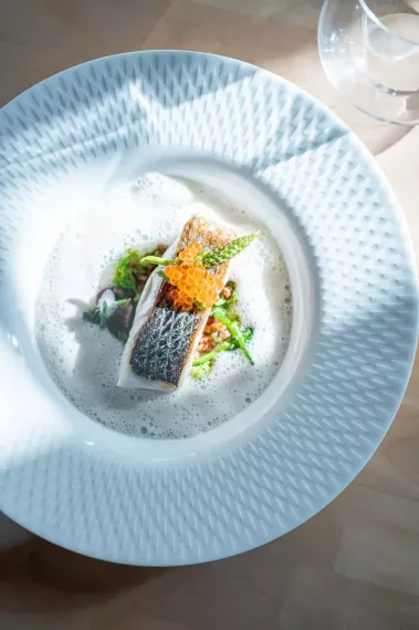 Valentin Thesing - Die kleine Linde - Sebastian Schollmeyer