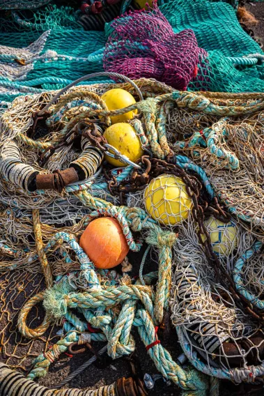 Bonsoir Normandie - Sebastian Schollmeyer