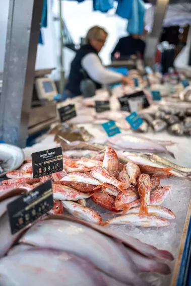 Bonsoir Normandie - Sebastian Schollmeyer