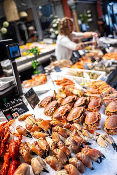 Bonsoir Normandie - Sebastian Schollmeyer