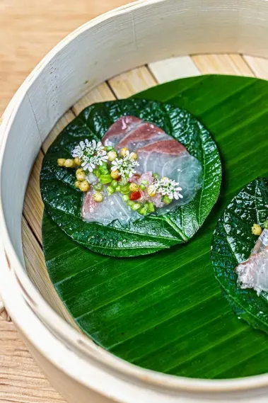 Die kleine Linde – Sebastian Schollmeyer