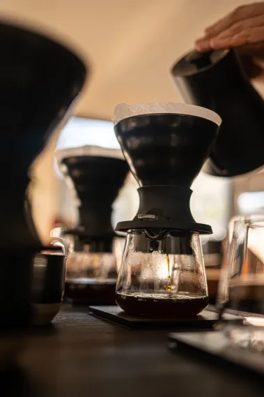 sweet spot studio | Sebastian Schollmeyer